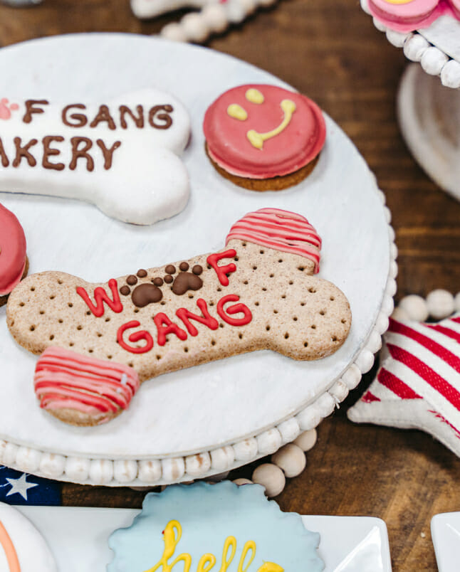 plate of dog biscuits